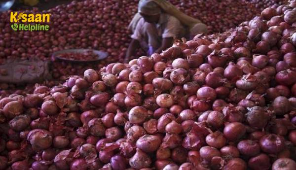 पिछले साल से प्याज का राष्ट्रव्यापी औसत खुदरा मूल्य घटकर 60% हो गया है: सरकार